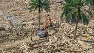 Bareskrim Telusuri Asal Kayu Gelondongan yang Terbawa Banjir Aceh