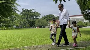 Sibuknya Jokowi Jaga Cucu: Gendong Sedah Mirah di Istana Bogor dan Temani Jan Ethes Kasih Makan Rusa