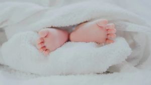 Kasus Jual Beli 24 Bayi ke Luar Negeri, Prosesnya dari Bandung Transit Kalbar Masuk Singapura