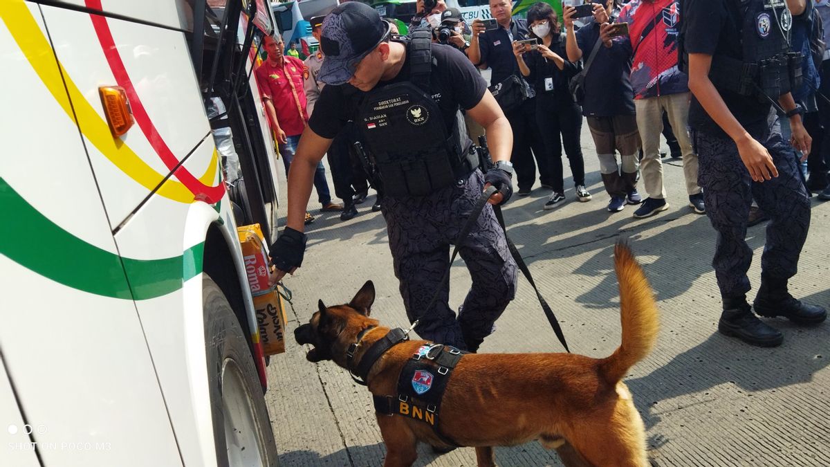 Prevent Drug Circulation During Lebaran Homecoming, BNN Deploys Tracking Dogs At Kampung Rambutan Terminal