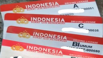 Viral! Driver's License Making Services Available on Shopee