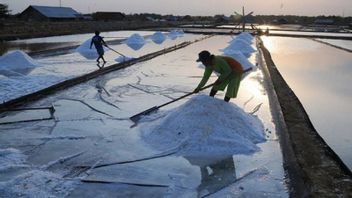 Masih Disuplai Impor, Bos ID FOOD Ungkap Tantangan Penuhi Kebutuhan Garam Industri dan Gula Konsumsi
