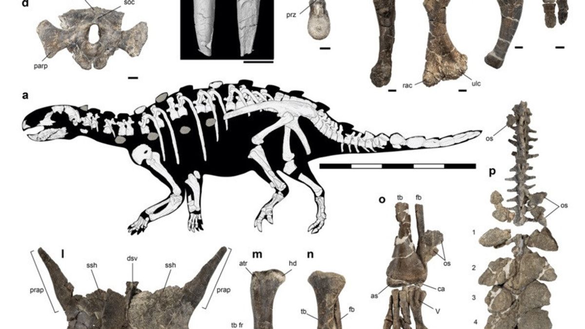 Unik, Dinosaurus Ini Miliki Ekor Mirip Senjata Prajurit Suku Aztec untuk Menangkal Predator