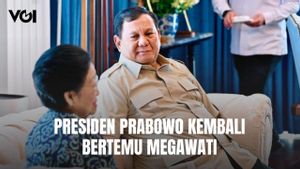Presiden Prabowo Kembali Bertemu Megawati Soekarnoputri, Hasto: Pertemuan Kawan Lama