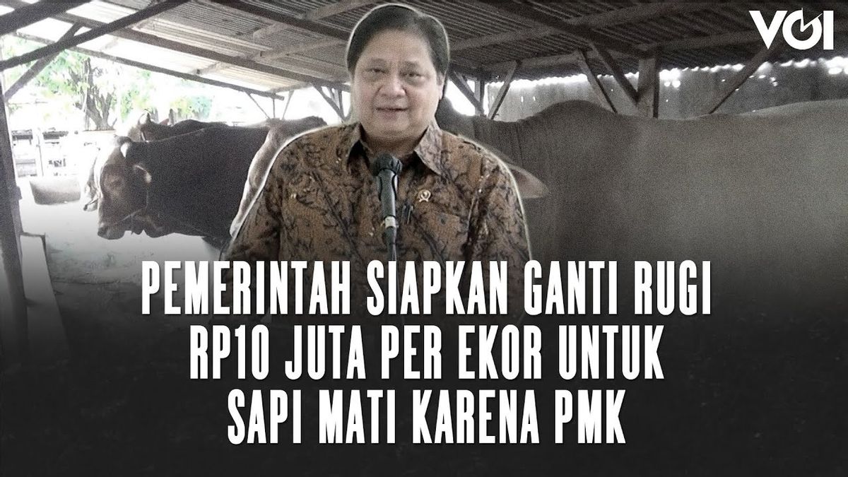 VIDEO: Wabah PMK, Pemerintah Siapkan Ganti Rugi Rp10 Juta per Ekor