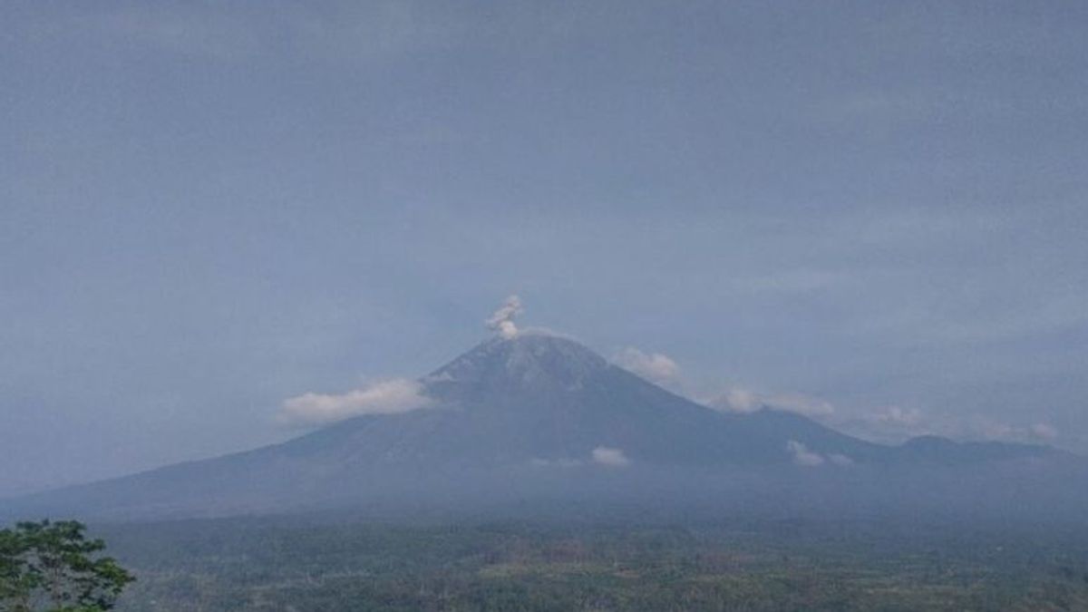 Gunung Semeru Alami 8 Kali Erupsi Diikuti Letusan hingga 700 Meter