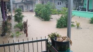 BPBD Babel Imbau Warga, Waspada Serangan Buaya di Daerah Banjir