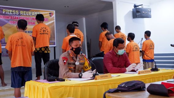 Il Ya Encore Certains Qui Misent De L’argent Avec Cockfighting, 12 Personnes Sont Finalement Arrêtés à Tana Toraja