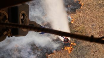 ハワイ・マウイ島の森林火災の犠牲者は53人に増加