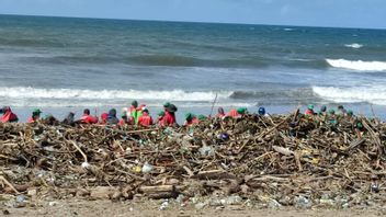 Tumpukan Sampah Kayu di Pantai Berawa Bali Capai 400 Ton