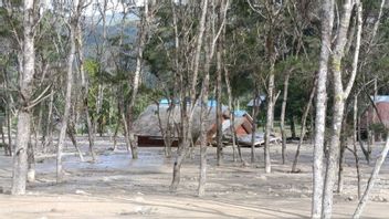 ジャヤウィジャヤ・アソティポ地区が土砂崩れと洪水に見舞われ、河川の正規化が優先課題