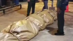 DPKP Inhil Riau Kirim Bangkai Buaya Besar ke Jakarta untuk Diawetkan