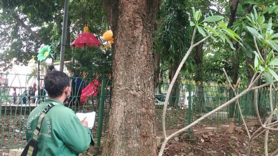 Pour Connaître Les Arbres Sains Ou Malades, 150 Personnes Réparties Dans Toute La Ville De Depok