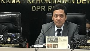 Habiburokhman Ditetapkan Jadi Wakil Ketua Komisi III DPR
