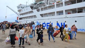 Tiket Pelni Diskon 20 Persen Mulai Hari Ini, Cek Syarat dan Simulasi Tarifnya