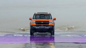 Mobil China Ini Sukses 