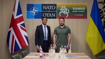 Responding To Defense Minister Wallace's Comments, President Zelensky Calls Britain A Partner: We Are Always Thankful