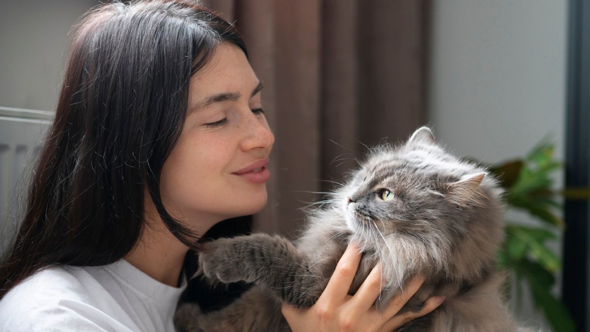 5 Tipe Kepribadian Kucing yang Jarang Dikenali Pecinta Anabul