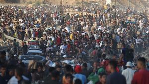 Raja Belgia Kecam Pelanggaran Israel di Gaza, Anggap Aib Kemanusiaan