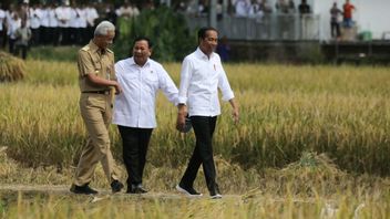 Dampingi Jokowi Lihat Panen Raya, Ganjar Pranowo: Indonesia Harus Jadi Lumbung Padi Dunia