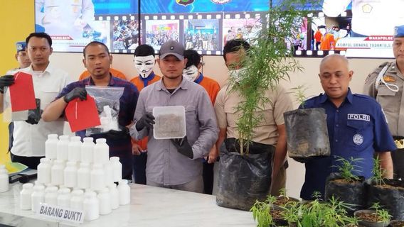 Pria Penanam 62 Batang Pohon Ganja di Loteng Rumah Ditangkap Polres Kota Batu