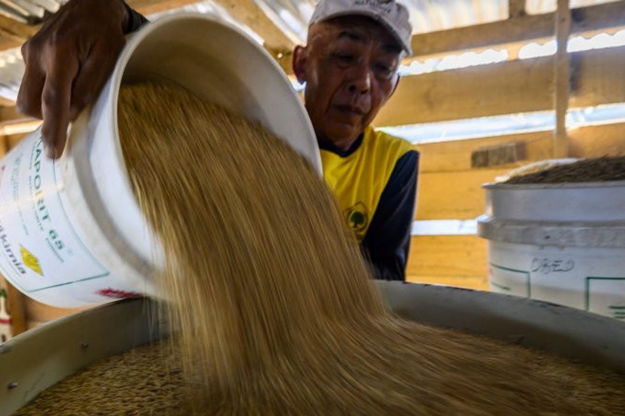 RNI Expects Food Reserves To Overcome Commodity Price Fluctuations