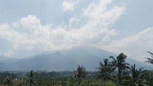 Mount Ciremai Climbing Temporarily Closed To Restore Ecosystems