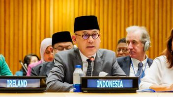 Pimpin Pokja Keamanan KTT Palestina di PBB, Indonesia Rekomendasikan Empat Hal
