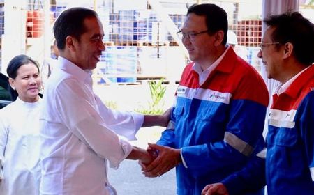 Anggota DPR dari NasDem: Harusnya Ahok Selesaikan Masalah Pertamina di Internal