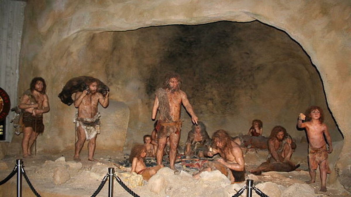 علماء الآثار الإيطالية العثور على بقايا الحفريات من تسعة البشر النياندرتال القديمة بالقرب من روما