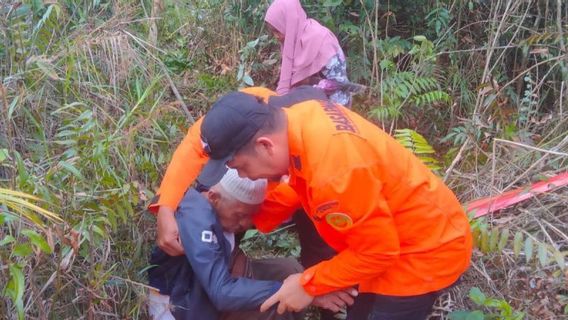 Pasutri Lansia Tersesat di Hutan Nanga-nanga Kendari Ditemukan Selamat, Dikembalikan ke Keluarga 