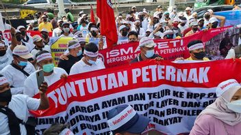 Demo Peternak Ayam Petelur, Wagub DKI: Pemerintah Berupaya yang Terbaik 