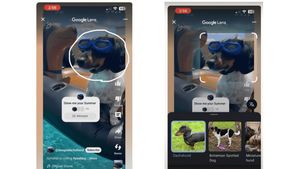 YouTube将在短片上测试Google Lens功能