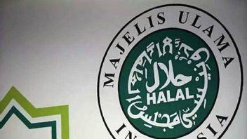 MUI Minta Panja DPR dan Kemenkes Lakukan Pengadaan Vaksin Halal untuk Booster