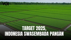 Jadi Lumbung Pangan Dunia Bukan Mimpi, 2025 Indonesia Swasembada Pangan