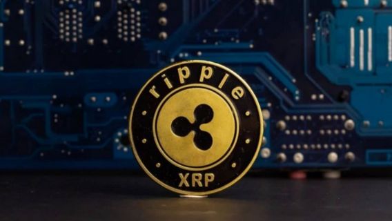 XRP السعر المتوقع أن ترتفع، نمط تموج يظهر إشارات الصعودي