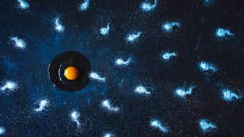 最高の精子の品質、その特徴は何ですか?