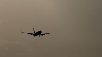 Menghadapi Cuaca, Sriwijaya Air SJ-182 Sempat Belok Kiri hingga Akhirnya Hilang dari Radar 