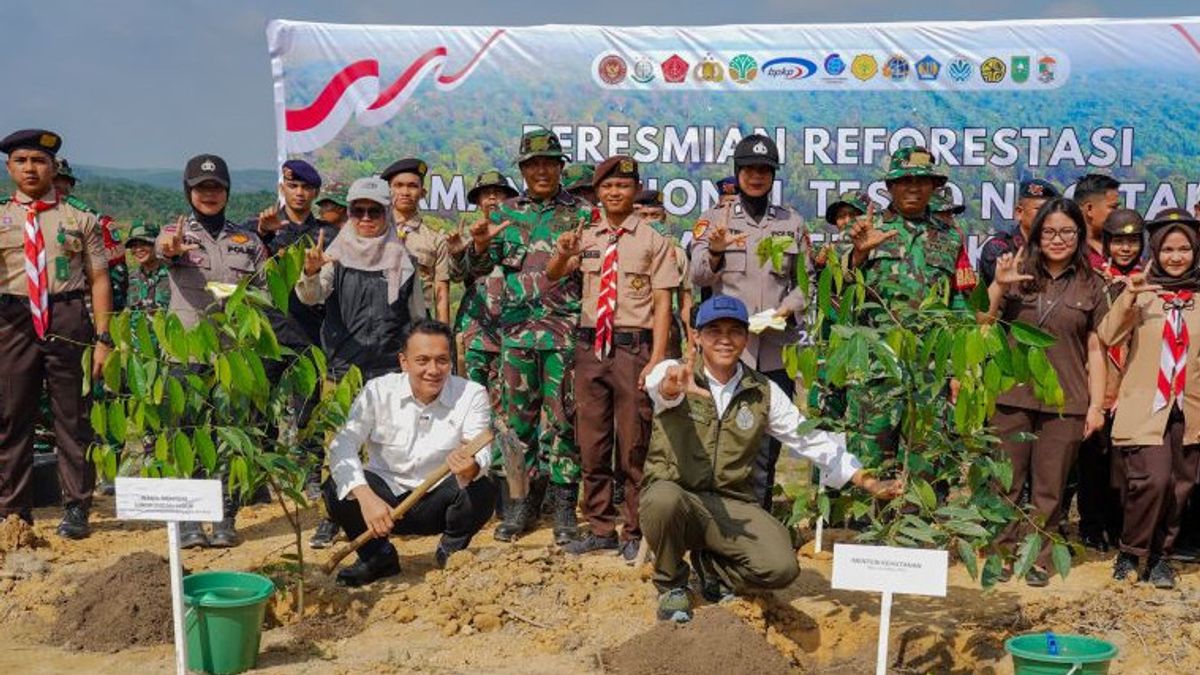 Kemenhut Mulai Restorasi TN Tesso Nilo Targetkan Pemulihan 66 Ribu Hektare