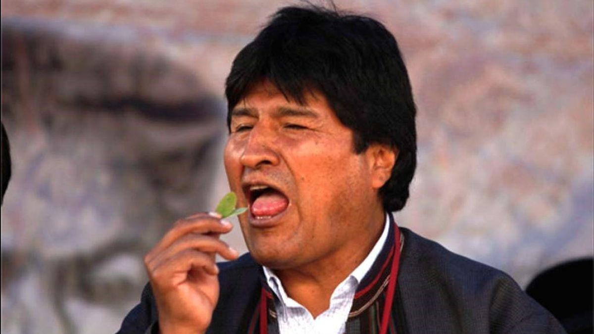 Report Des élections En Bolivie: Urgence COVID-19 Ou Stratégie Politique?
