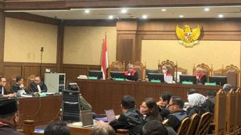 Ahli Pidana: Tak Logis Halangi Penyelidikan yang Belum Pro Justicia