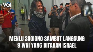 Minister of Foreign Affairs Sugiono Welcomes the Immediate Return of 9 Indonesian Citizens Detained by Israel