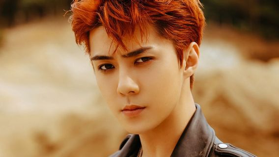 Sehun EXO 'Jajah' فيلم الشاشة الكبيرة من خلال القراصنة 2