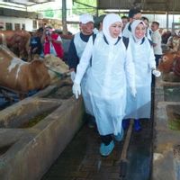 Kemenag Gelar Sidang Isbat Penetapan Iduladha 17 Mei 2026