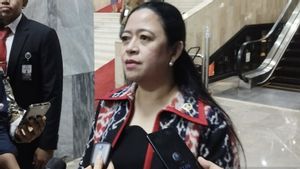 Speaker Of The House Of Representatives Asks Commission IX Of The House Of Representatives To Investigate The Shooting Of Indonesian Migrant Workers In Malaysia