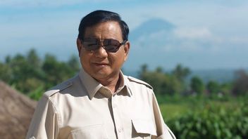 Observer: Mothers Who Sincerely Support Prabowo Are Now Broken, Now They No Longer Want It
