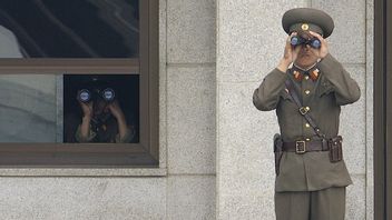 秘密警察行动，朝鲜处决死囚，拘留数百人