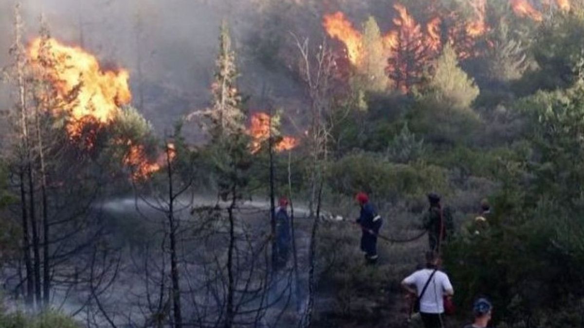雨季、東カリマンタンでは125の火災がまだ発生しています