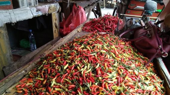 Kabar Baik! Harga Minyak Goreng dan Cabai Mulai Turun di Makassar