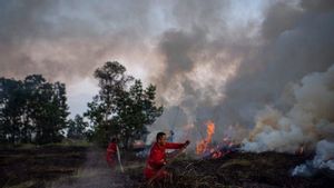 Sumsel Bakal Hadapi Tantangan Perubahan Iklim, Apa yang Akan Terjadi dari Krisis Lingkungan dan Pangan?